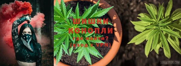 мет Алзамай