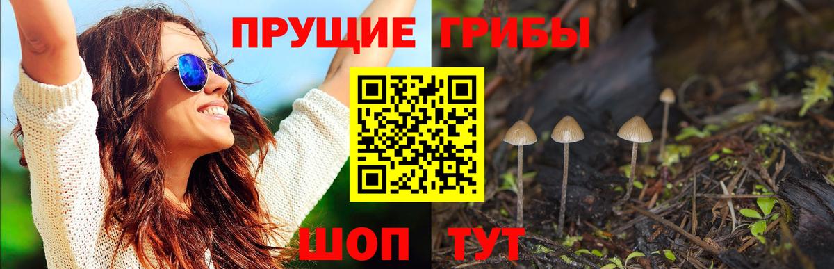 Псилоцибиновые грибы GOLDEN TEACHER Белая Калитва
