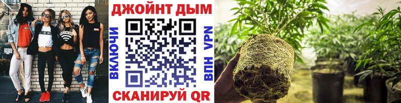 Канабис Bruce Banner  Белая Калитва 